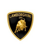 Plaque d'immatriculation personnalisée Lamborghini