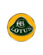 Plaque d'immatriculation personnalisée Lotus